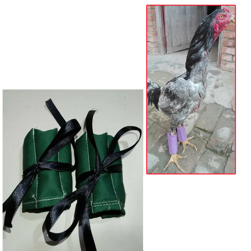 coralcoveshop ไก่ชน กระสอบทรายไก่ชน กระสอบทรายขาไก่ชน กระสอบทรายหลังไก่ชน อุปกรณ์ฝึกไก่ชน ภาพที่ 4