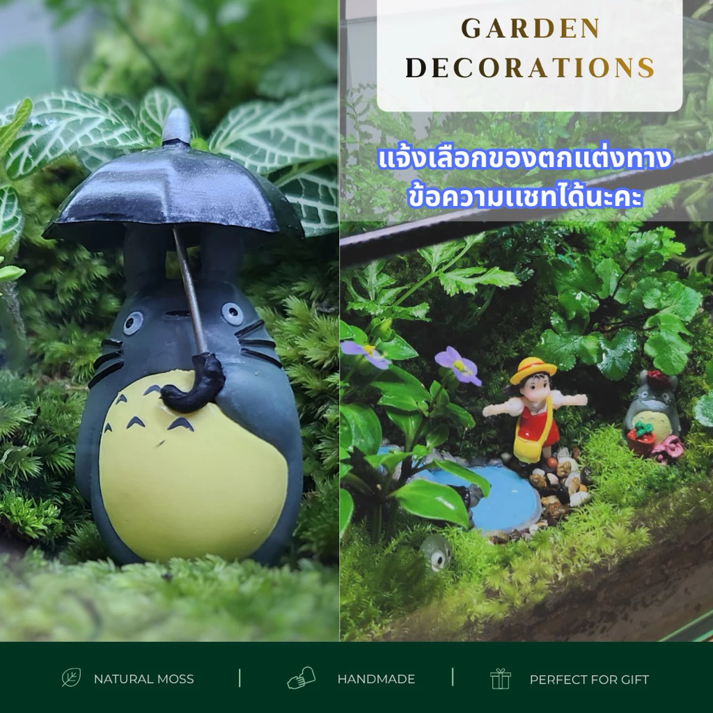 พร้อมส่ง สวนขวดแก้วทรงมูจิ (พร้อมฝาปิด อะคลิลิคใส) Terrarium ของขวัญ ของแต่งบ้าน ภาพที่ 2