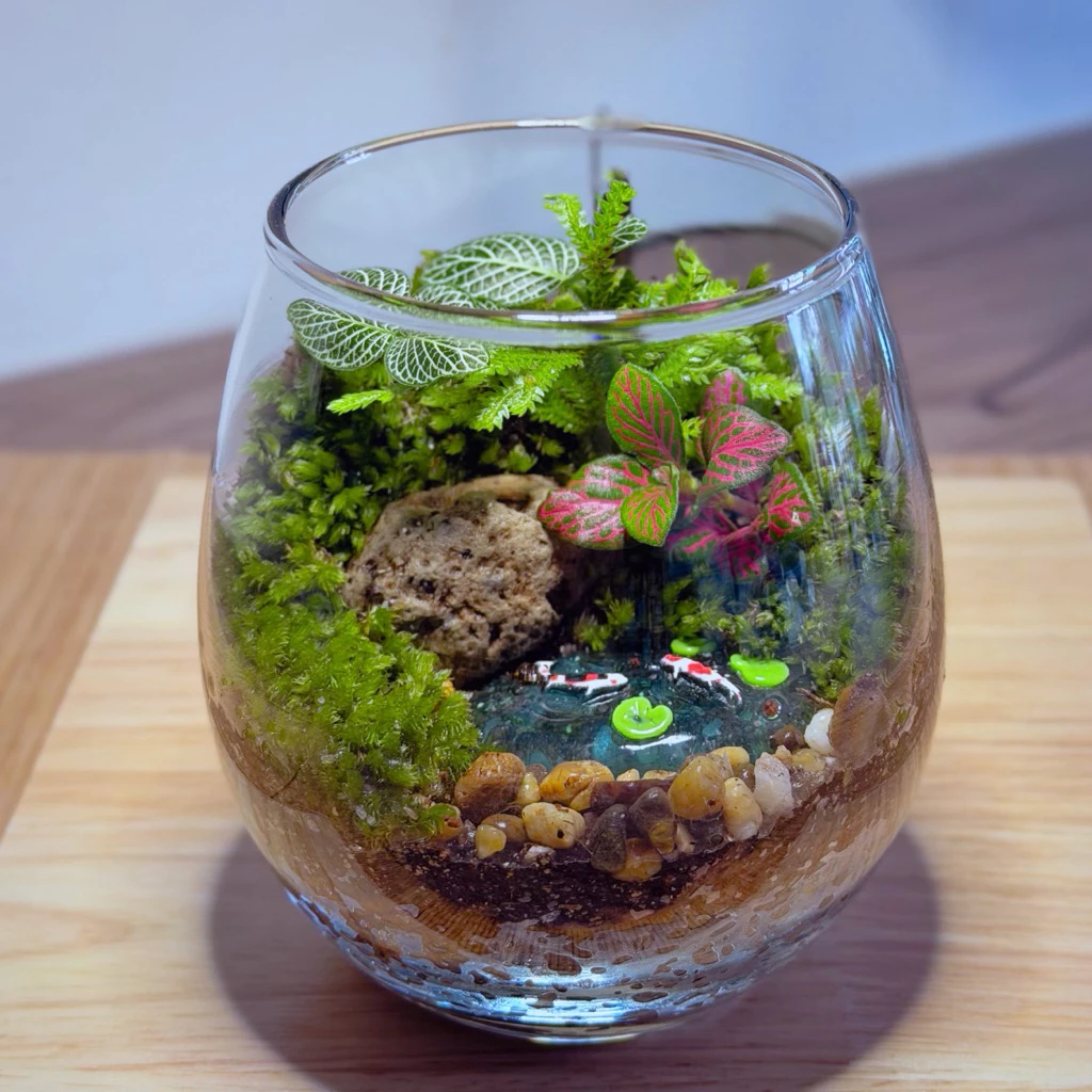 พร้อมส่ง สวนขวดแก้วทรงมูจิ (พร้อมฝาปิด อะคลิลิคใส) Terrarium ของขวัญ ของแต่งบ้าน ภาพที่ 3