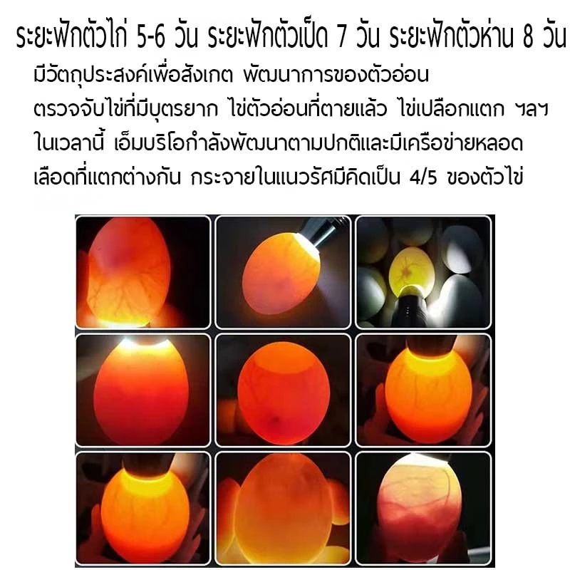 ไฟส่องไข่ ไฟฉายส่องไข่ ไฟเช็คเชื้อไข่ แบบชาร์จ USB น้ำหนักเบา แสงสว่าง ส่องเชื้อไข่ไก่ ไข่นก ไข่เป็ด ห่านได้ ภาพที่ 2