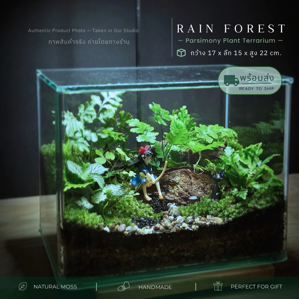 สวนขวดแก้วขอบโค้งนาโน+ฝาอะคลิลิค terrarium ของแต่งบ้าน ของขวัญ ภาพที่ 4