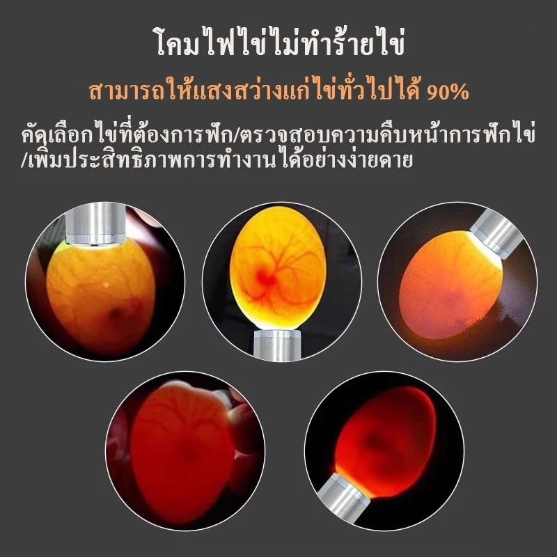 ไฟส่องไข่ ไฟฉายส่องเชื้อไข่ ไฟเช็คเชื้อ ไฟฉายส่องเชื้อ ไฟส่องไข่เชื้อ ไฟส่องไข่ไก่ อุปกรณ์ฟักไข่ แบบสาย usb ภาพที่ 4