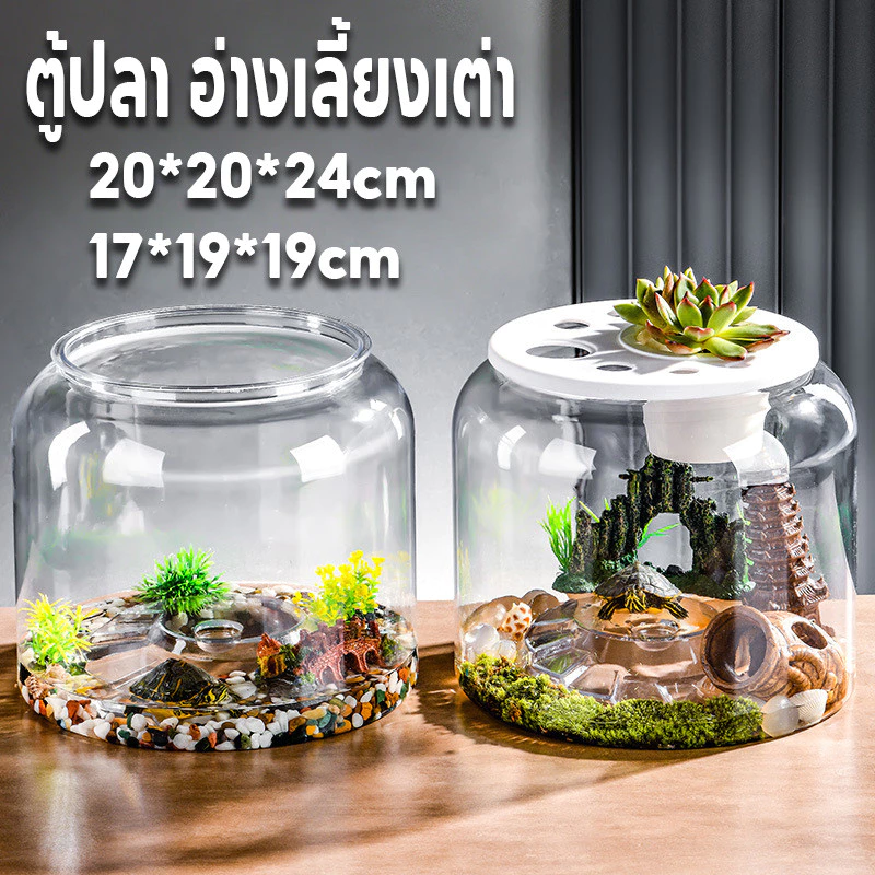กระบะเลี้ยงเต่า อ่างเลี้ยงเต่า ตู้ปลา โหลพลาสติก แทงค์เลี้ยงเต่า สำหรับเต่าน้ำ เต่าญี่ปุ่น โหลปลากัด โหลปลาทอง ภาพที่ 4