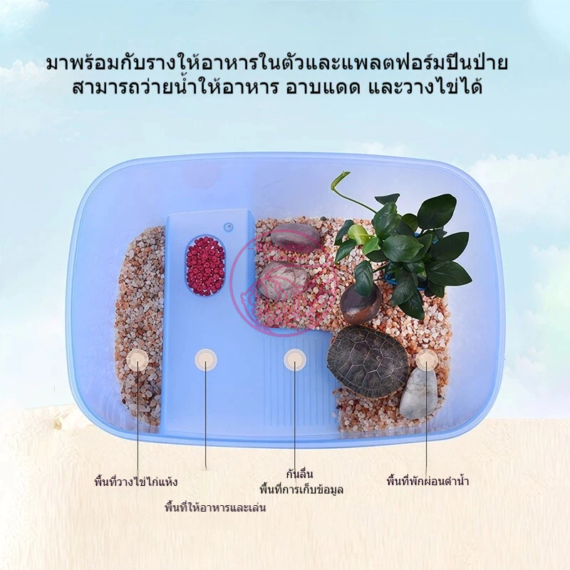 แทงค์เลี้ยงเต่า คุณภาพดี อ่างเลี้ยงเต่า กระบะเลี้ยงเต่า สำหรับเต่าน้ำ เต่าญี่ปุ่น มีหลายแบบ ภาพที่ 3