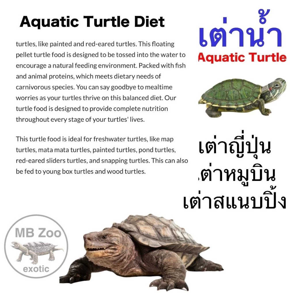 อาหารเต่าน้ำ เต่าญี่ปุ่น เต่าอัลลิเกเตอร์ เต่าไดม่อนแบล็ค เต่านา เต่าหับไทย เต่าน้ำ ภาพที่ 3
