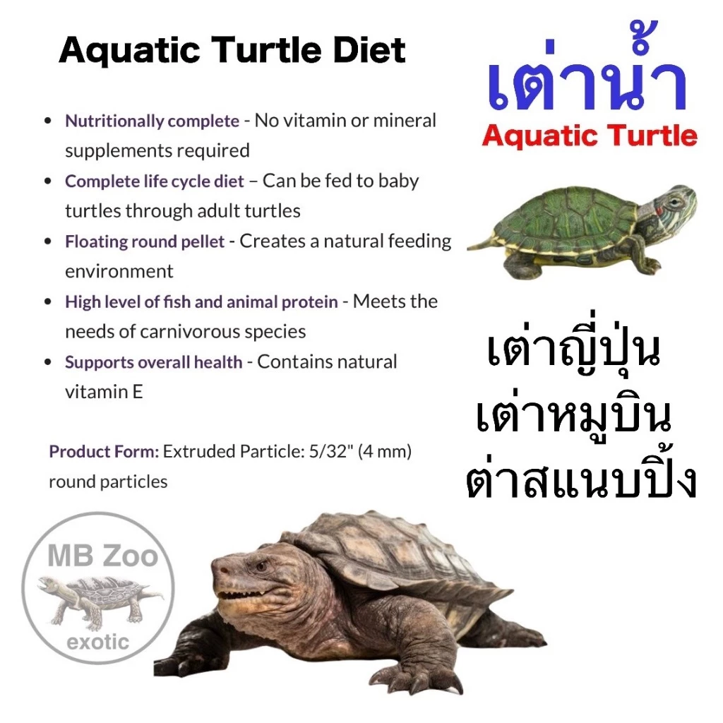 อาหารเต่าน้ำ เต่าญี่ปุ่น เต่าอัลลิเกเตอร์ เต่าไดม่อนแบล็ค เต่านา เต่าหับไทย เต่าน้ำ ภาพที่ 4