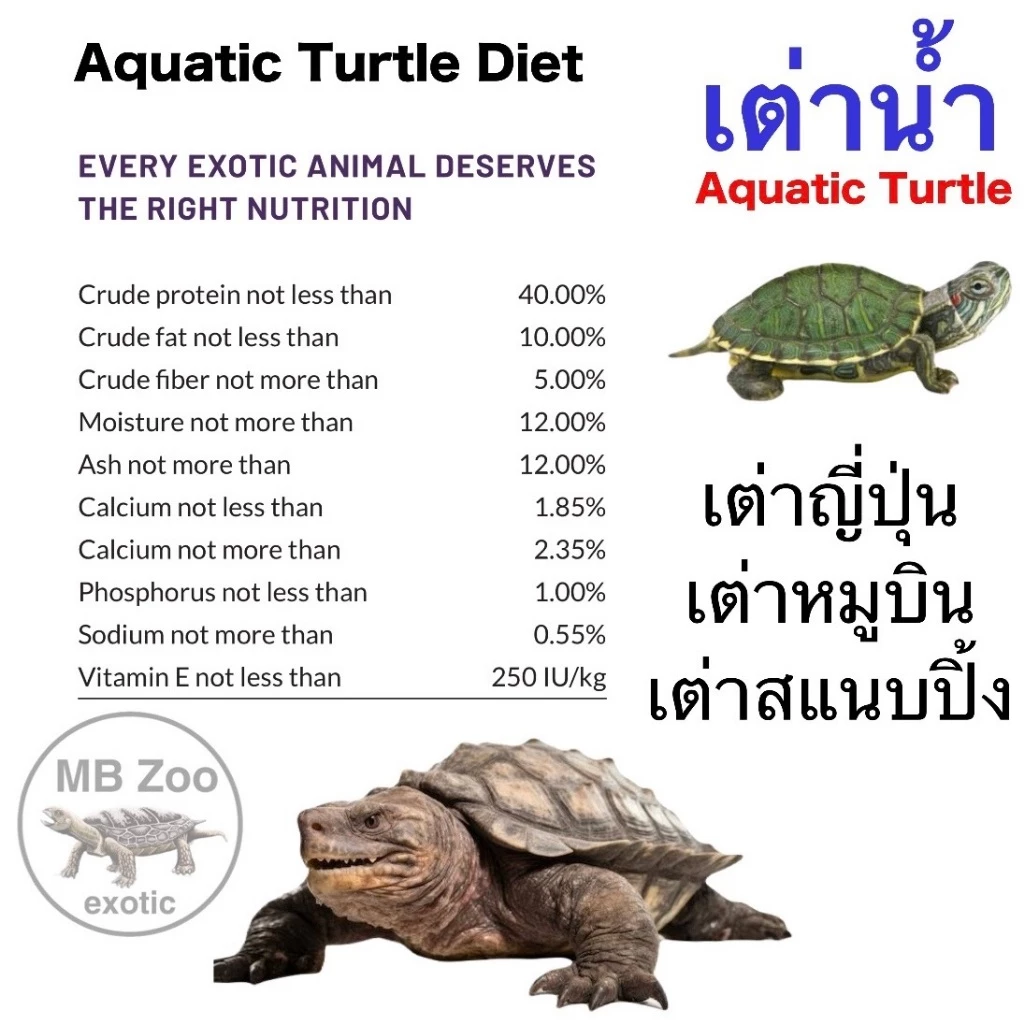อาหารเต่าน้ำ เต่าญี่ปุ่น เต่าอัลลิเกเตอร์ เต่าไดม่อนแบล็ค เต่านา เต่าหับไทย เต่าน้ำ ภาพที่ 5