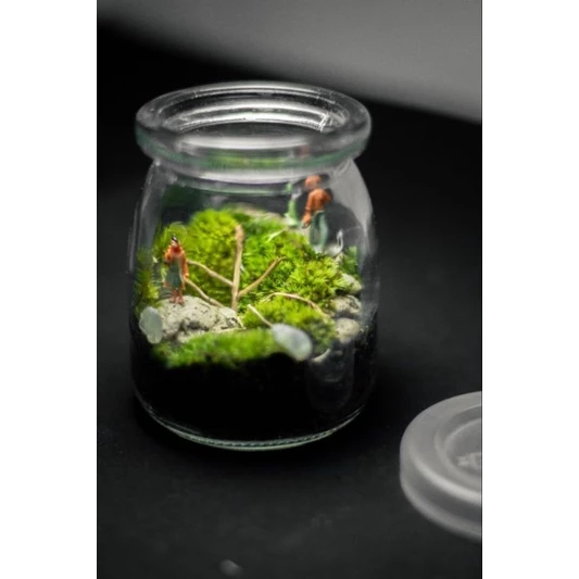 สวนขวดแก้ว(Terrarium)ขนาดเล็กมินิมอล ภาพที่ 2