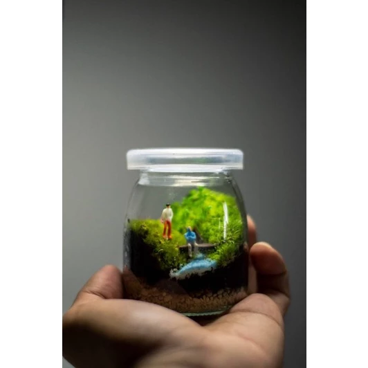 สวนขวดแก้ว(Terrarium)ขนาดเล็กมินิมอล ภาพที่ 3