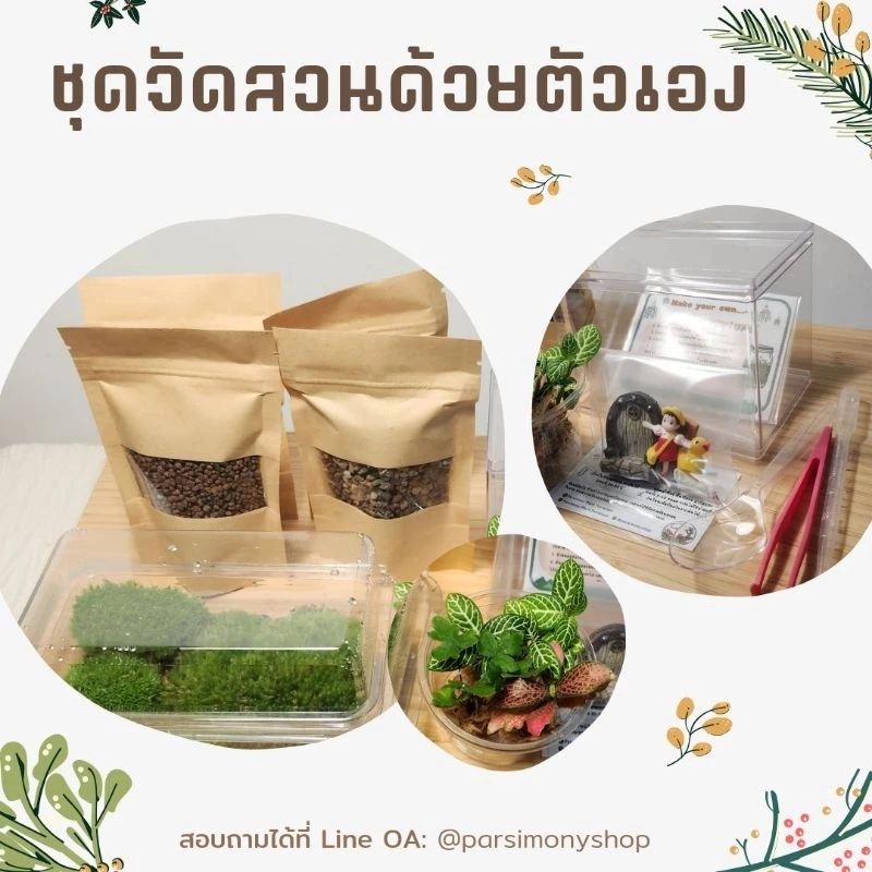 พร้อมส่ง ชุดจัดสวนขวดแก้ว Premium Diy Terrarium ของขวัญ​ ภาพที่ 2
