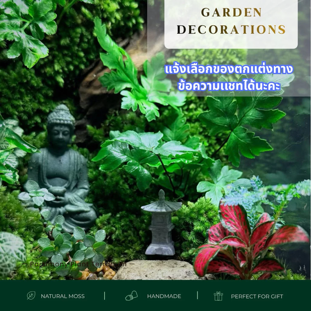 พร้อมส่ง ชุดจัดสวนขวดแก้ว Premium Diy Terrarium ของขวัญ​ ภาพที่ 4
