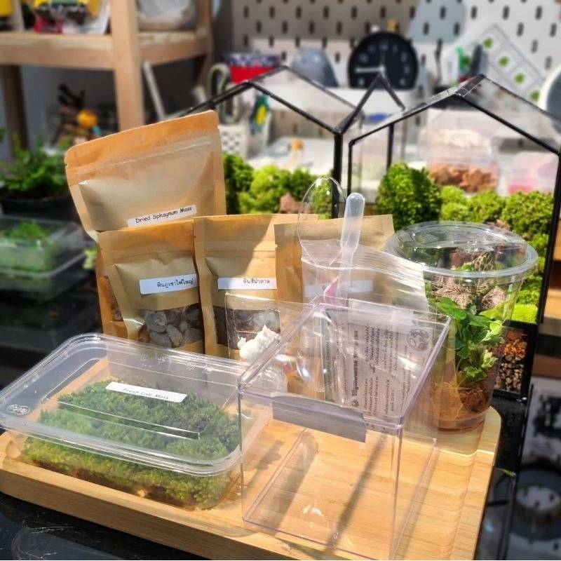 พร้อมส่ง ชุดจัดสวนขวดแก้ว Premium Diy Terrarium ของขวัญ​ ภาพที่ 5
