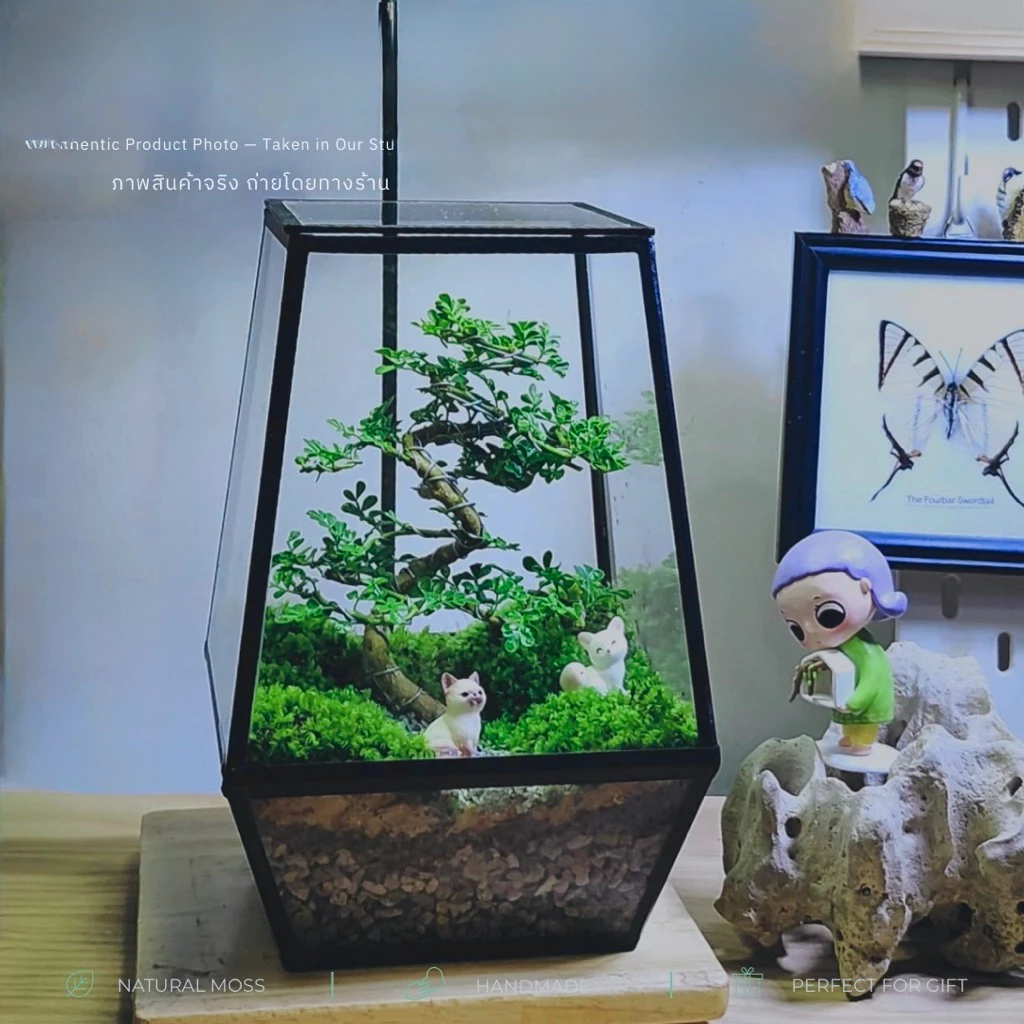 พร้อมส่ง สวนขวดแก้ว Bonsai Terrarium สวนบอนไซ ของแต่งบ้าน ของขวัญ ภาพที่ 4