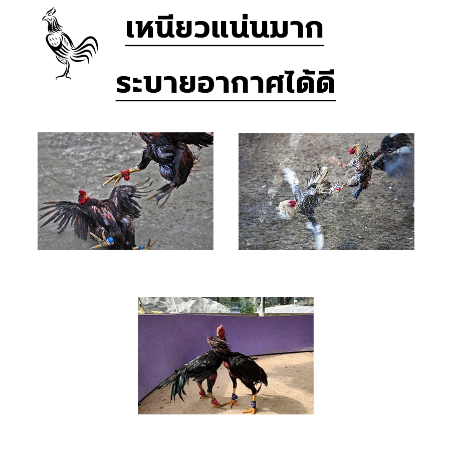 ทำให้ไก่ดุร้ายมากขึ้น เดือยไก่ชน ซื้อ1ได้10 เทปพันไก่ชน ปกป้องไก่ชน ป้องกันการบาดเจ็บ เทปไก่ชน ระบายอากาศได้ดี เทปพันไก่ ภาพที่ 2