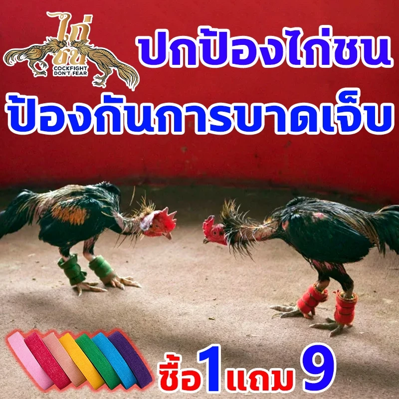ทำให้ไก่ดุร้ายมากขึ้น เดือยไก่ชน ซื้อ1ได้10 เทปพันไก่ชน ปกป้องไก่ชน ป้องกันการบาดเจ็บ เทปไก่ชน ระบายอากาศได้ดี เทปพันไก่ ภาพที่ 5