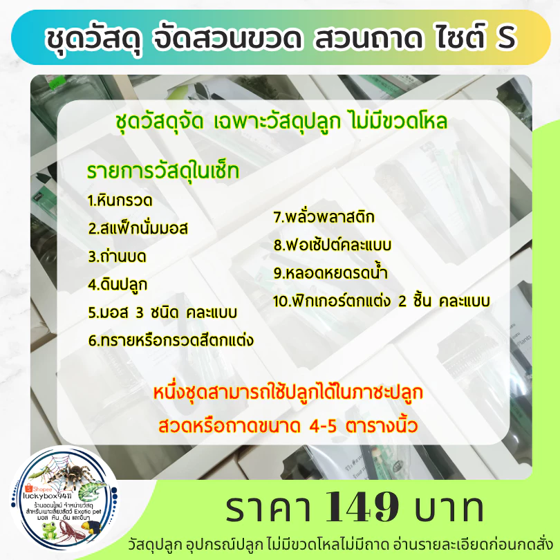 Terrarium DIY ชุดวัสดุจัดสวนขวด จัดสวนถาด ไซต์ S จัดได้ 4-5 ตารางนิ้ว 149 บาท ภาพที่ 2