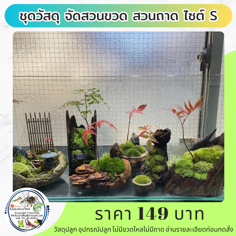 Terrarium DIY ชุดวัสดุจัดสวนขวด จัดสวนถาด ไซต์ S จัดได้ 4-5 ตารางนิ้ว 149 บาท ภาพที่ 4