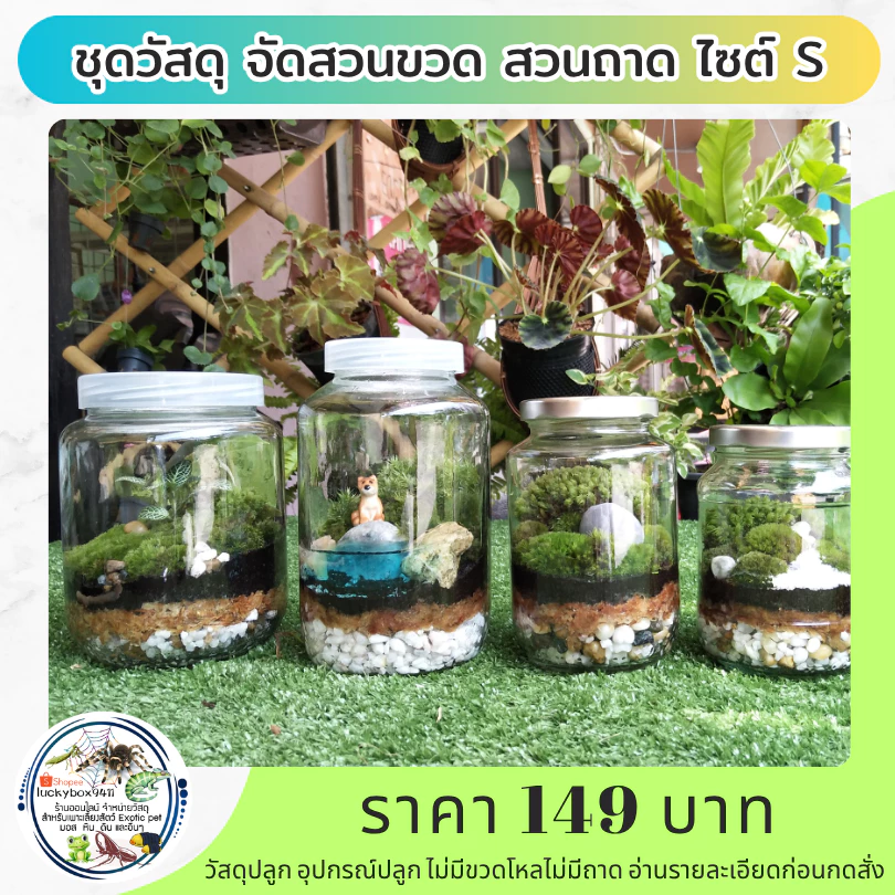 Terrarium DIY ชุดวัสดุจัดสวนขวด จัดสวนถาด ไซต์ S จัดได้ 4-5 ตารางนิ้ว 149 บาท ภาพที่ 5