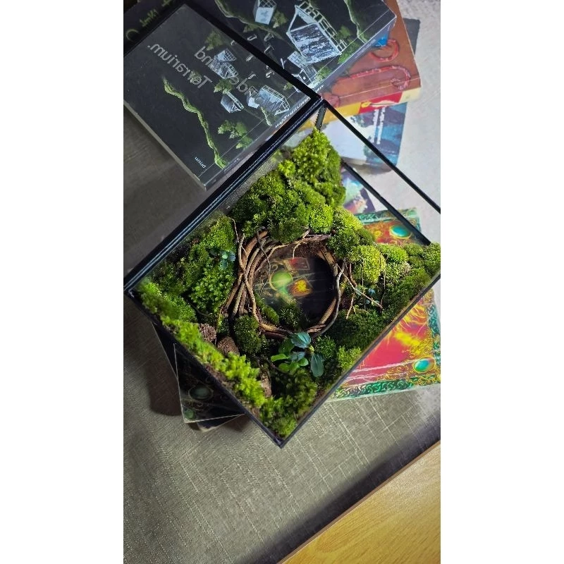 สวนขวดแก้วTerrariumต้นไม้จริงแต่งบ้าน ภาพที่ 4
