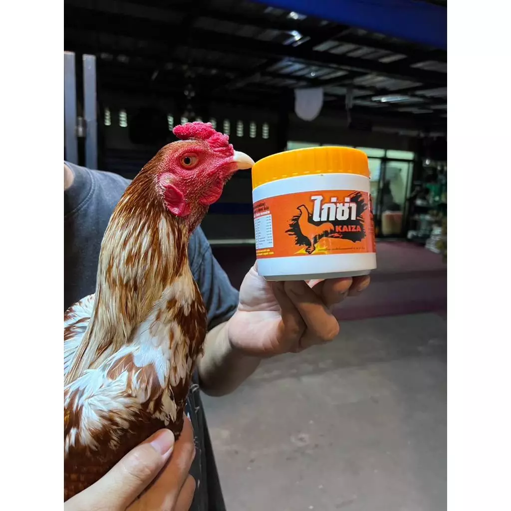 ไก่ซ่าแดงชัวร์ ชนิดปั้น อาหารไก่ชน ชุดเลี้ยงไก่ชน วิตามินไก่ชน บำรุงกำลังไก่ชน ภาพที่ 2
