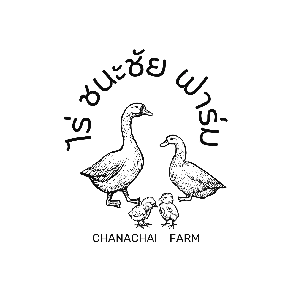 ไข่เชื้อเป็ดบาบารี่ ไข่เชื้อไข่เป็ดสำหรับฟักพันธุ์บาบารี่ 1ฟอง (เป็ดเนื้อไข่ฟองโต) ภาพที่ 3