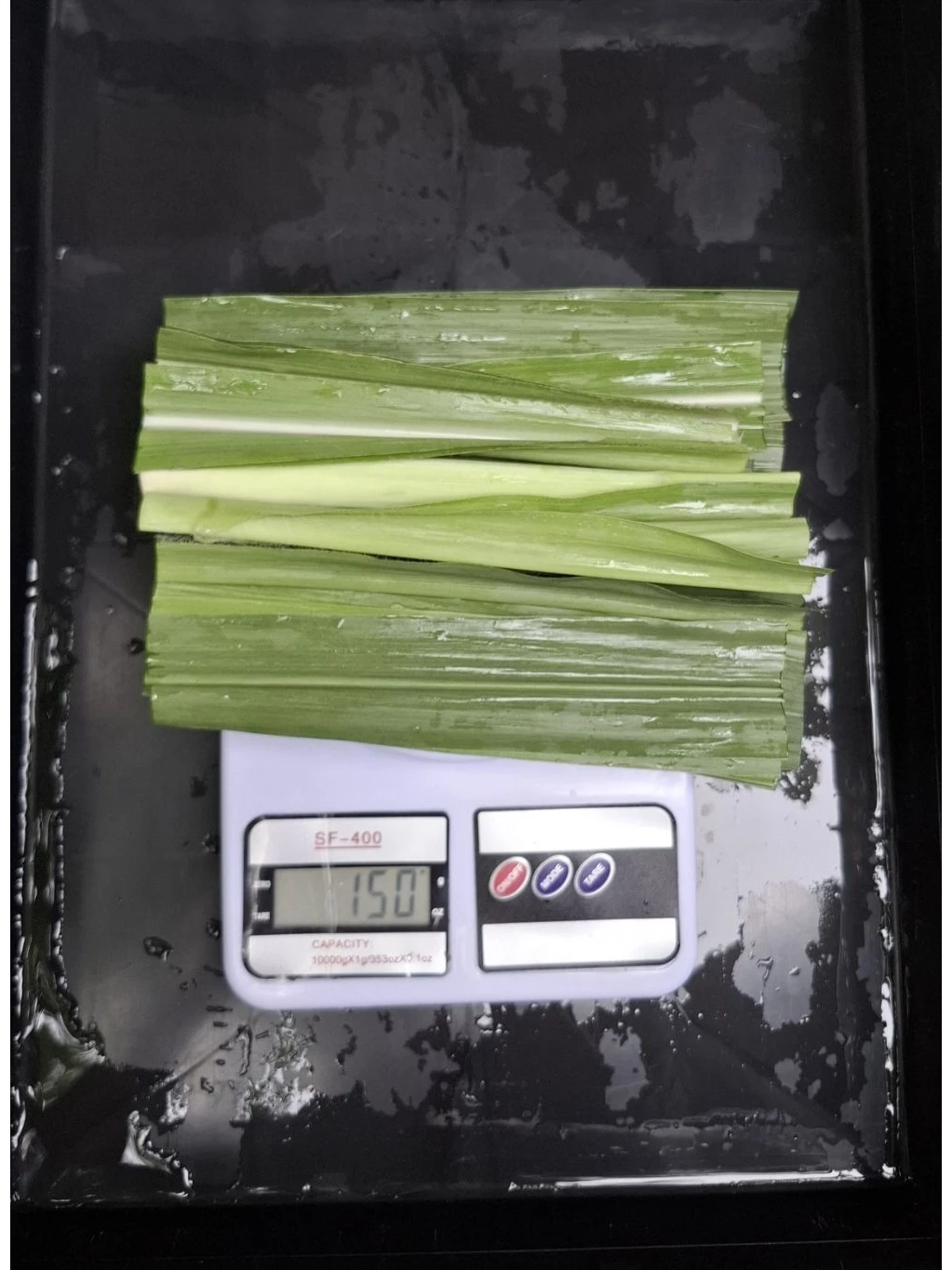 หญ้าหวานอิสราเอล ตัดสดใหม่ทุกออเดอร์ เหมาะสำหรับสัตว์ฟันแทะและเต่าบก ภาพที่ 4