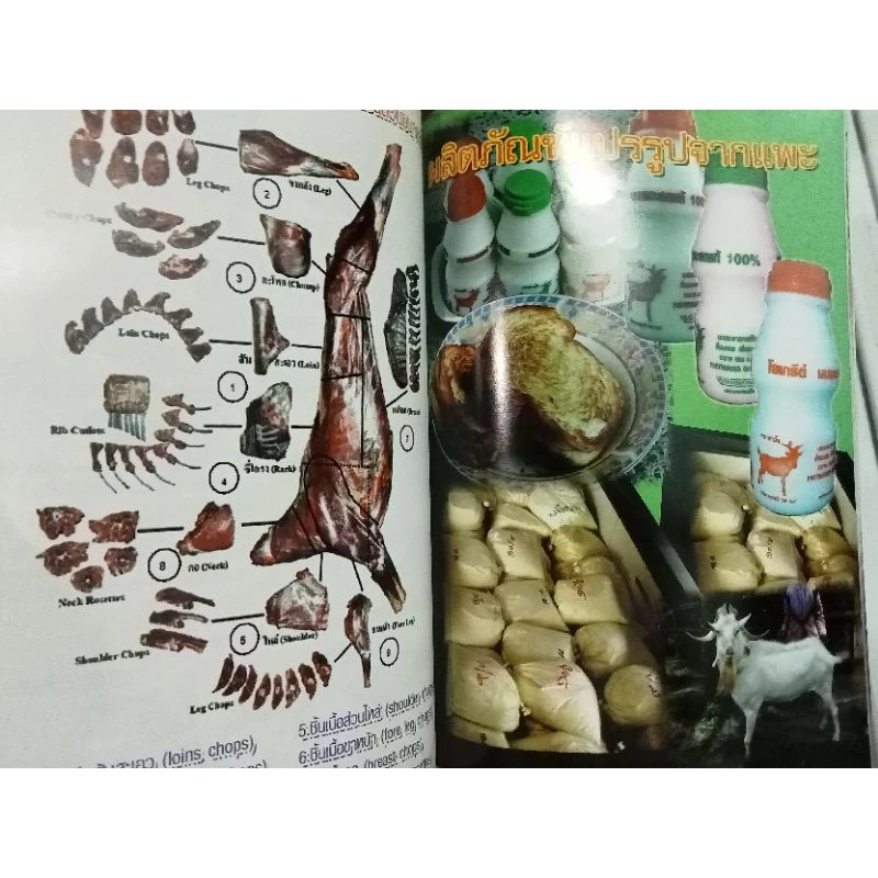 หนังสือคู่มือแพะเนื้อ แพะนม สัตว์เศรษฐกิจทำเงินตัวใหม่ ภาพที่ 4