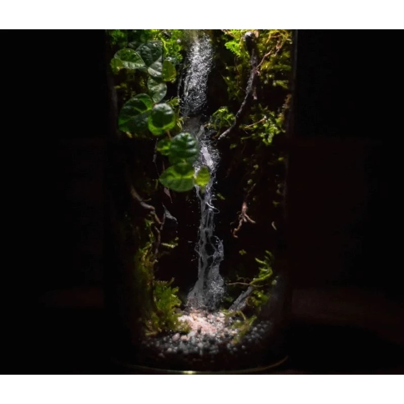 สวนขวดแก้วสำเร็จ​รูป​ จำลองระบบนิเวศ​น้ำตก​ สวนชื้น​ Terrarium​  ภาพที่ 2