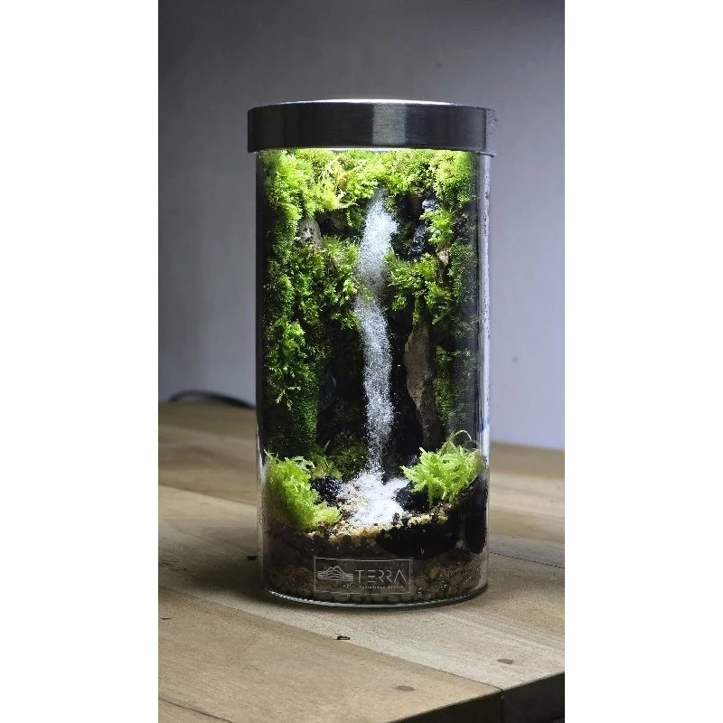 สวนขวดแก้วสำเร็จ​รูป​ จำลองระบบนิเวศ​น้ำตก​ สวนชื้น​ Terrarium​  ภาพที่ 3