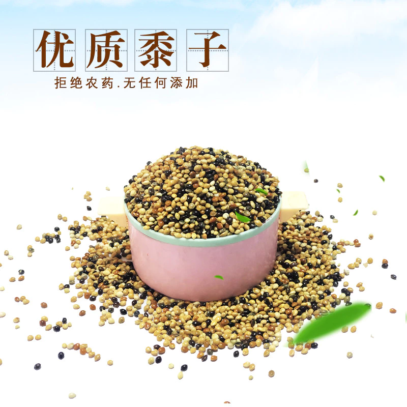 อาหารนกนกแก้ว อาหารนกผสม อาหารนกสีน้ําตาล Phoenix Tiger Skin Peony นกแก้วขนาดกลางขนาดเล็ก Manbird อาหารนกห้าสี Millet ภาพที่ 3