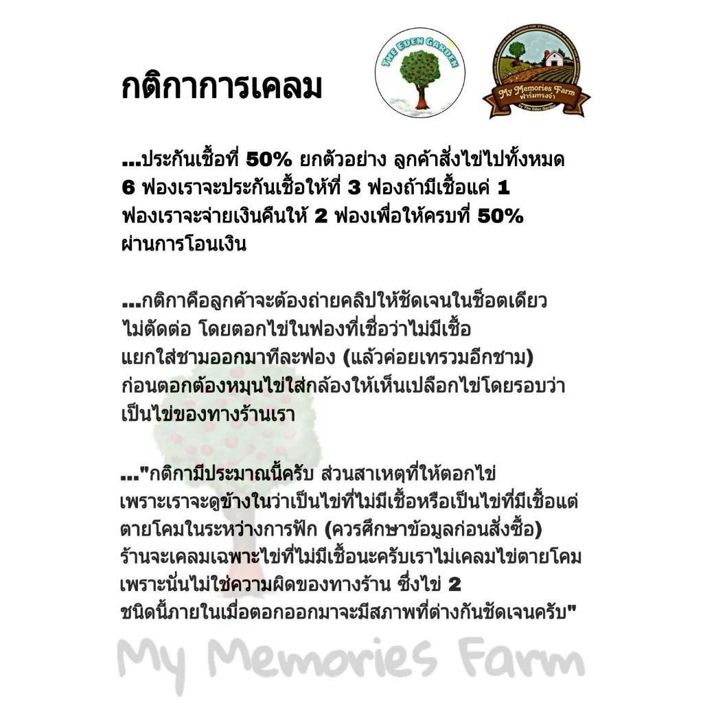 ไข่เชื้อสำหรับนำไปฟัก ไก่ไข่สายพันธุ์แท้ โรดไอแลนด์เรดอเมริกัน เซ็ท 6 ใบ 130 บาท (แถม1 รวม 7 ใบ)เชื้อแข็งแรงฟักง่าย ภาพที่ 2