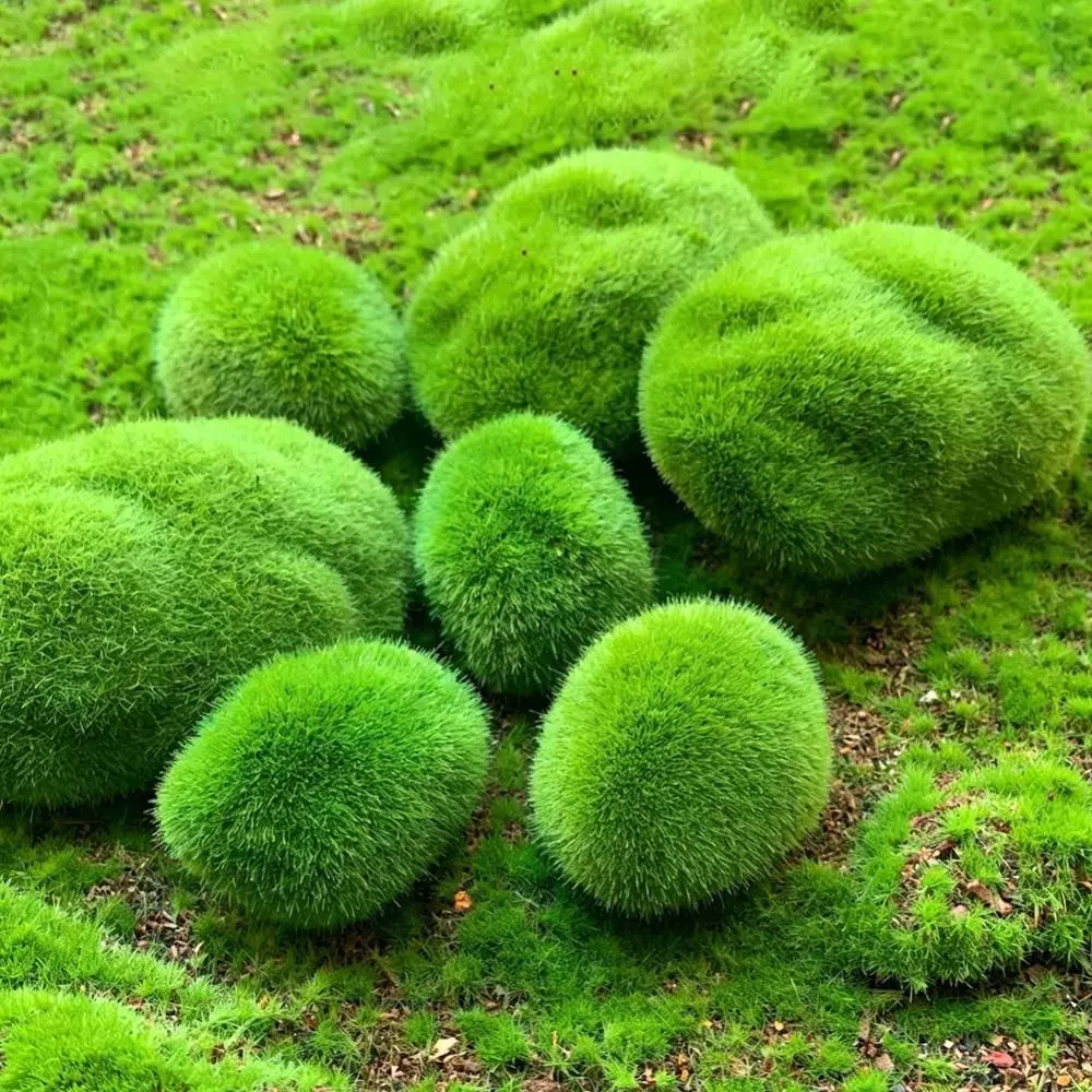 SECRETSPACE ประดิษฐ์ Moss หิน Rock Decor ปลอม Mosy Rock สําหรับ Terrarium Fairy Garden Micro ภูมิทัศน์บอนไซถังปลาตกแต่ง F5T2 ภาพที่ 4