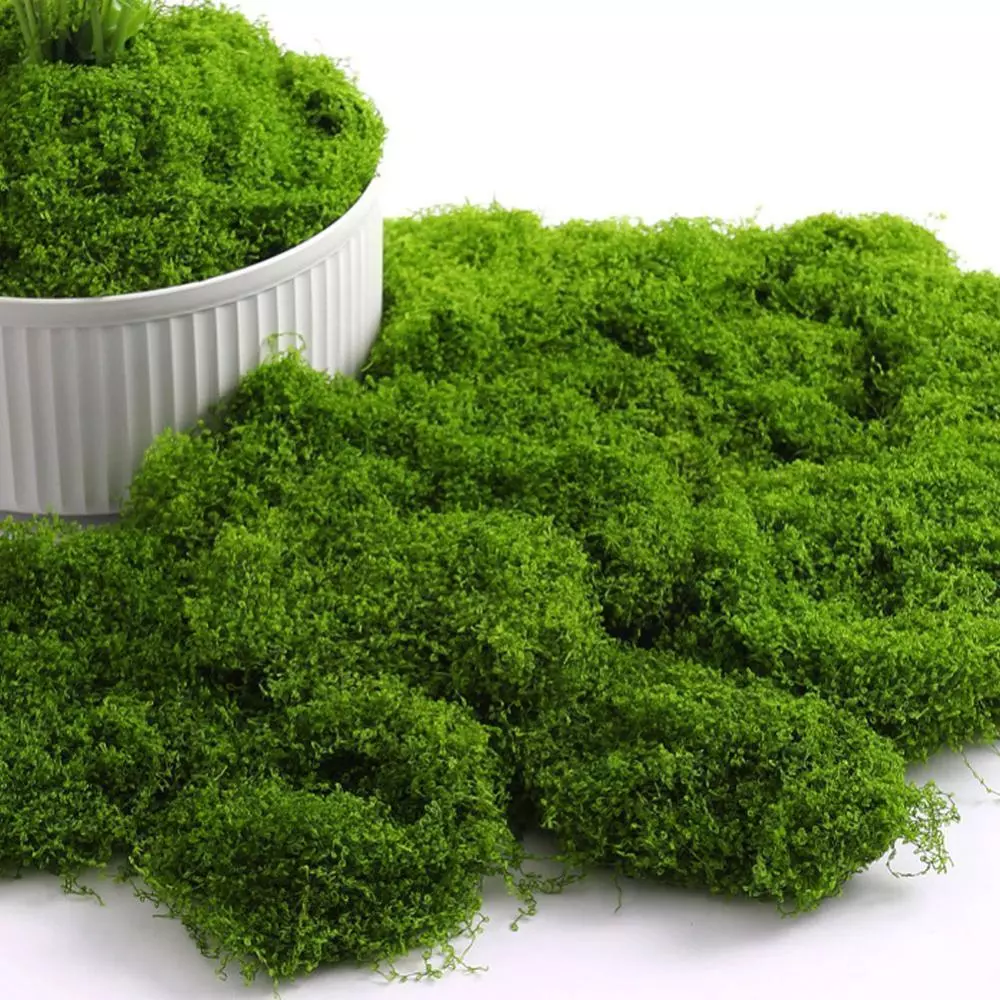 SECRETSPACE ประดิษฐ์ Moss แผ่นปลอมหญ้าสีเขียวสําหรับกระถางต้นไม้ตกแต่ง DIY Terrarium Micro ภูมิทัศน์บอนไซสวนอุปกรณ์ N4Q2 ภาพที่ 3