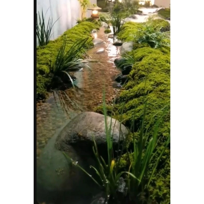 มอสสด มอสดิน ต้นไม้ สวนขวด Terrarium​ สวนถาด น้ำตก ต้นไม้ 1บาท ดิน กระถาง มอสแห้ง ไม้น้ำ ต้นไม้ปลอม หิน ตู้ปลา หญ้า ผัก ภาพที่ 4