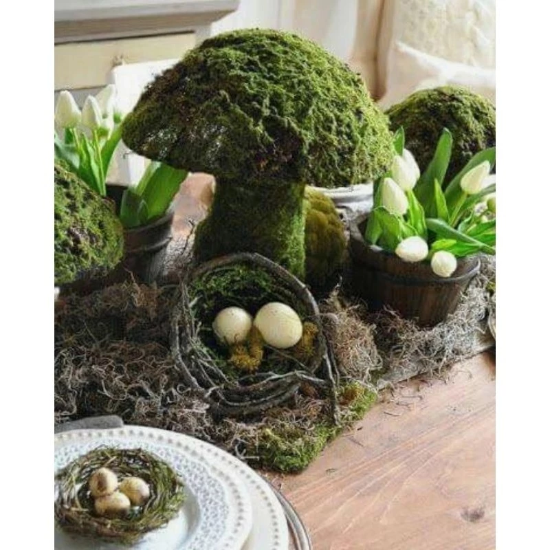 มอสสด มอสดิน ต้นไม้ สวนขวด Terrarium​ สวนถาด น้ำตก ต้นไม้ 1บาท ดิน กระถาง มอสแห้ง ไม้น้ำ ต้นไม้ปลอม หิน ตู้ปลา หญ้า ผัก ภาพที่ 5