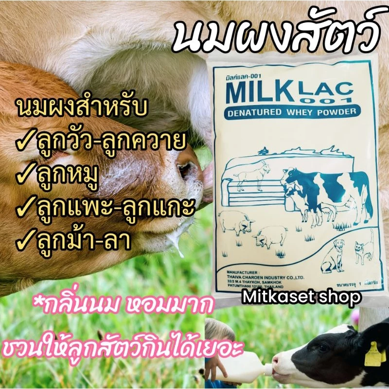 นมผงสัตว์มิลค์แลค001 (นมผงสำหรับสัตว์ หมู วัว ควาย แพะ แกะ) ภาพที่ 2