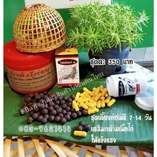  กำลังไก่ชน กุสุมาลูกกลอน สมุนไพรลูกกลอนไก่ เสริมกำลังไก่ชน #สมุนไพรบำรุงไก่ ใช้สำหรับบำรุงไก่ชน ภาพที่ 2
