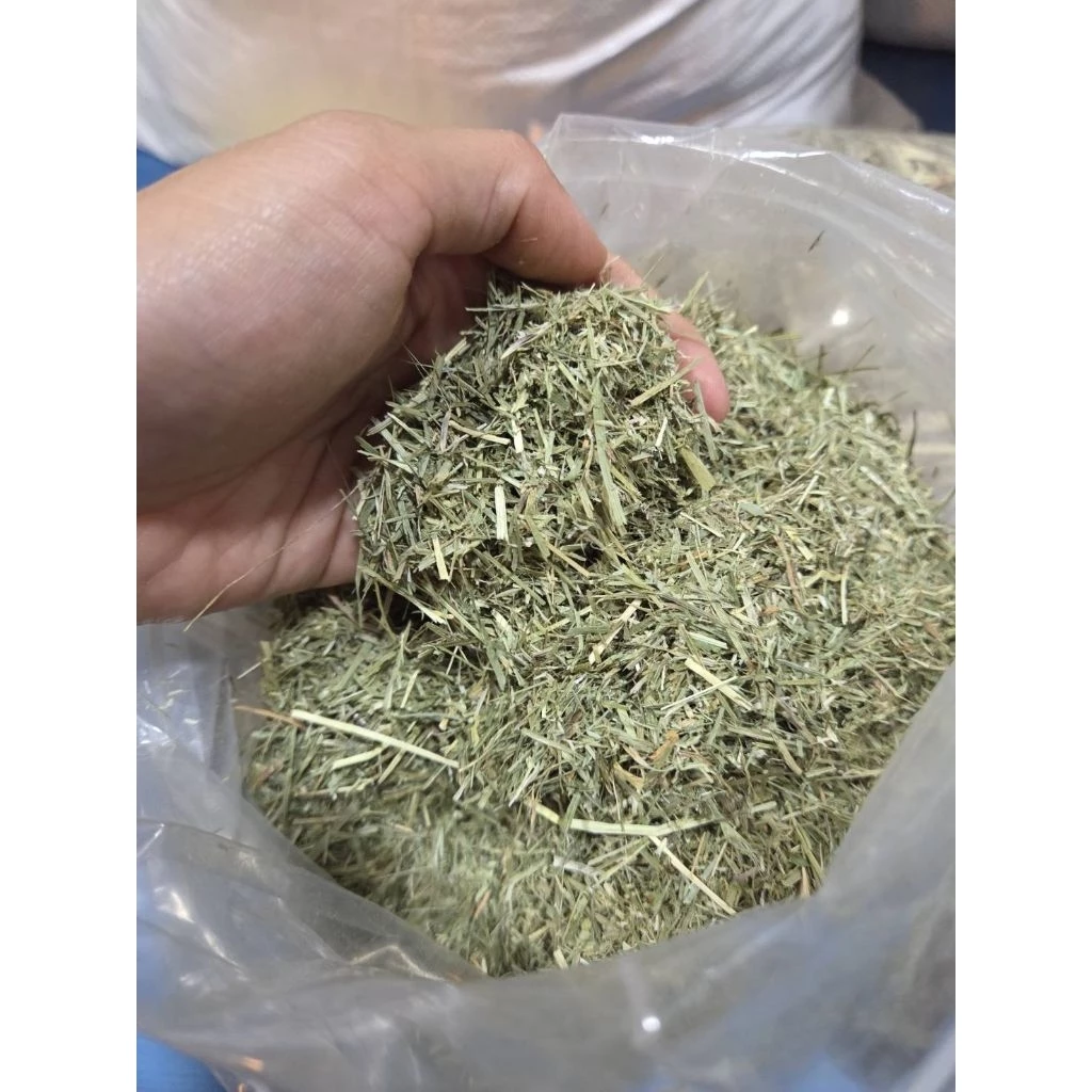 หญ้าทิมโมธีป่น (Ground Hay) เกรดพรีเมียม อัลฟาฟ่าป่น โอ๊ตป่นหยาบ สำหรับเต่าบก อาหารเต่าบกSulcata, Leopard, Aldabra ภาพที่ 2