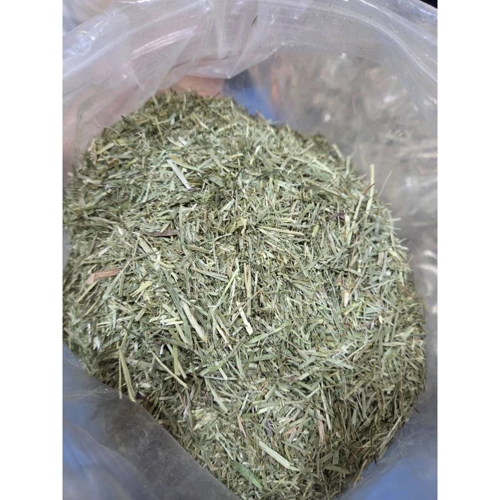 หญ้าทิมโมธีป่น (Ground Hay) เกรดพรีเมียม อัลฟาฟ่าป่น โอ๊ตป่นหยาบ สำหรับเต่าบก อาหารเต่าบกSulcata, Leopard, Aldabra ภาพที่ 4