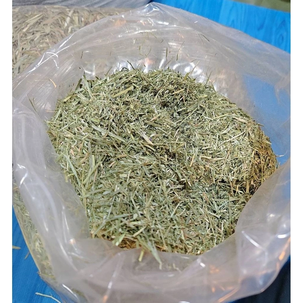 หญ้าทิมโมธีป่น (Ground Hay) เกรดพรีเมียม อัลฟาฟ่าป่น โอ๊ตป่นหยาบ สำหรับเต่าบก อาหารเต่าบกSulcata, Leopard, Aldabra ภาพที่ 5