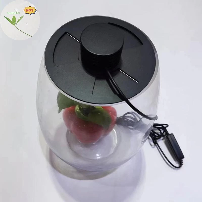 Maud แสงสีขาว USB Terrarium ปลูกจับเวลาโคมไฟสําหรับแจกัน, Growth, , Miniature Garden ภูมิทัศน์ EN ภาพที่ 3