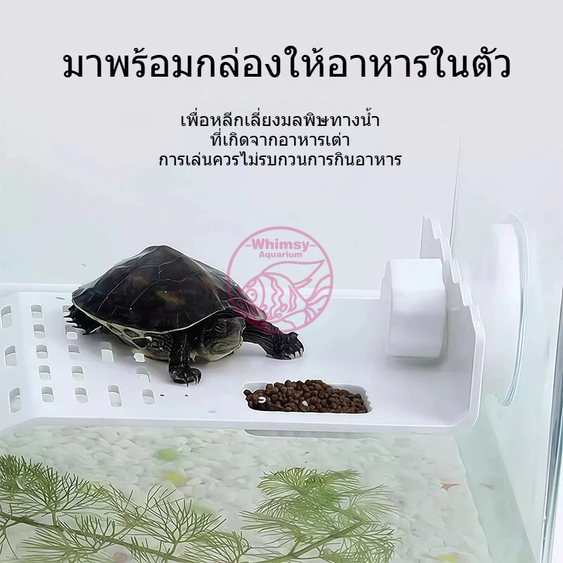 บกเต่า แพลตฟอร์มยืนตากแดดสำหรับเลี้ยงเต่า ที่พักเต่า เต่าญี่ปุ่น มีที่ใส่อาหาร ภาพที่ 4