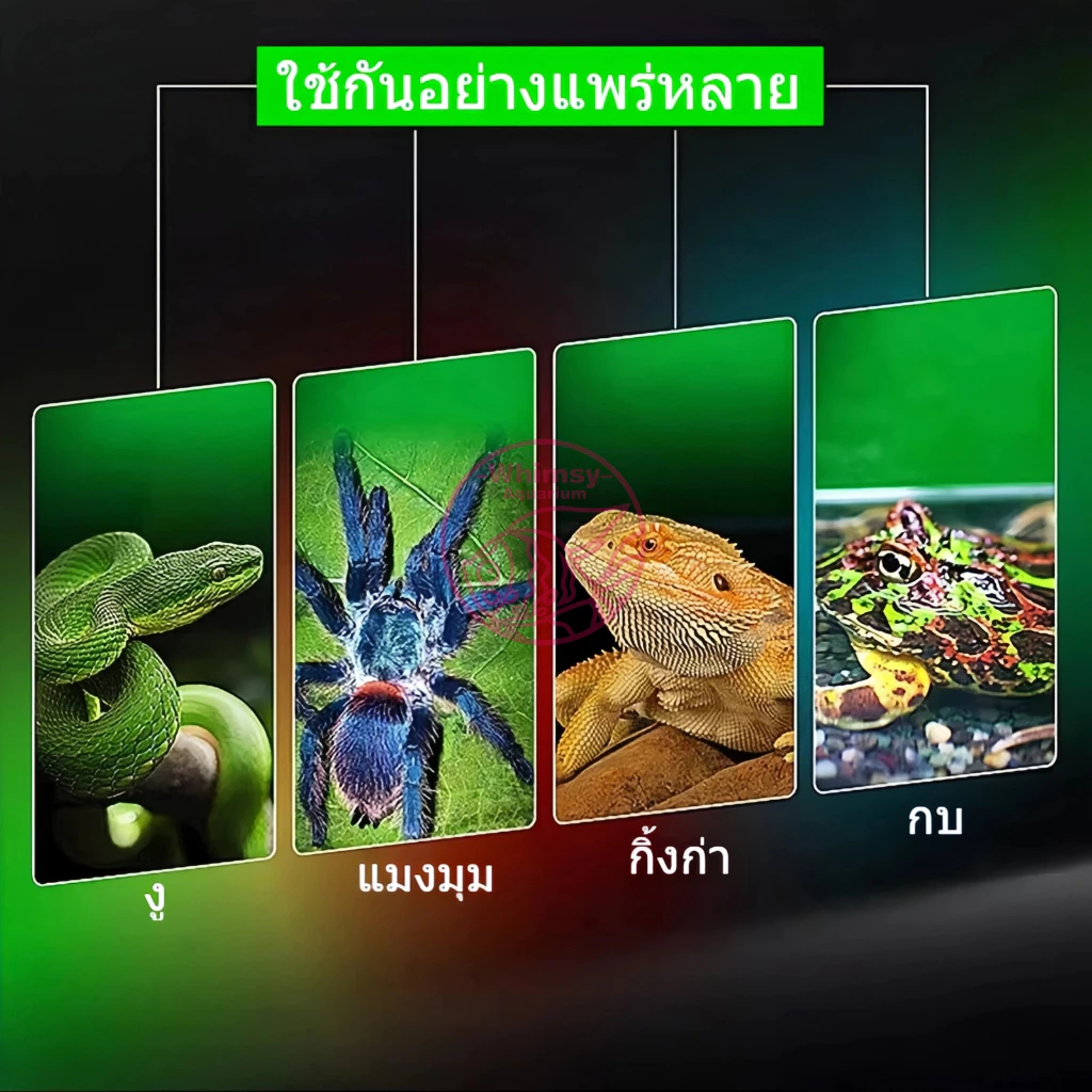 ขั้วหลอดไฟเซรามิกE27 กกไฟ ไฟกกเต่า ไฟกกลูกนก ไฟกกลูกไก่ ให้ความอบอุ่นเต่าบก หลอดไฟเซรามิค 25-100w ภาพที่ 3