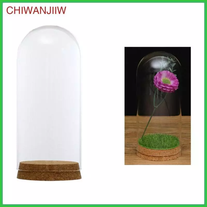 [chiwanjiiw] ฝาครอบแก้วโปร่งใส Succulent Flower Terrarium สําหรับเครื่องประดับ ภาพที่ 3