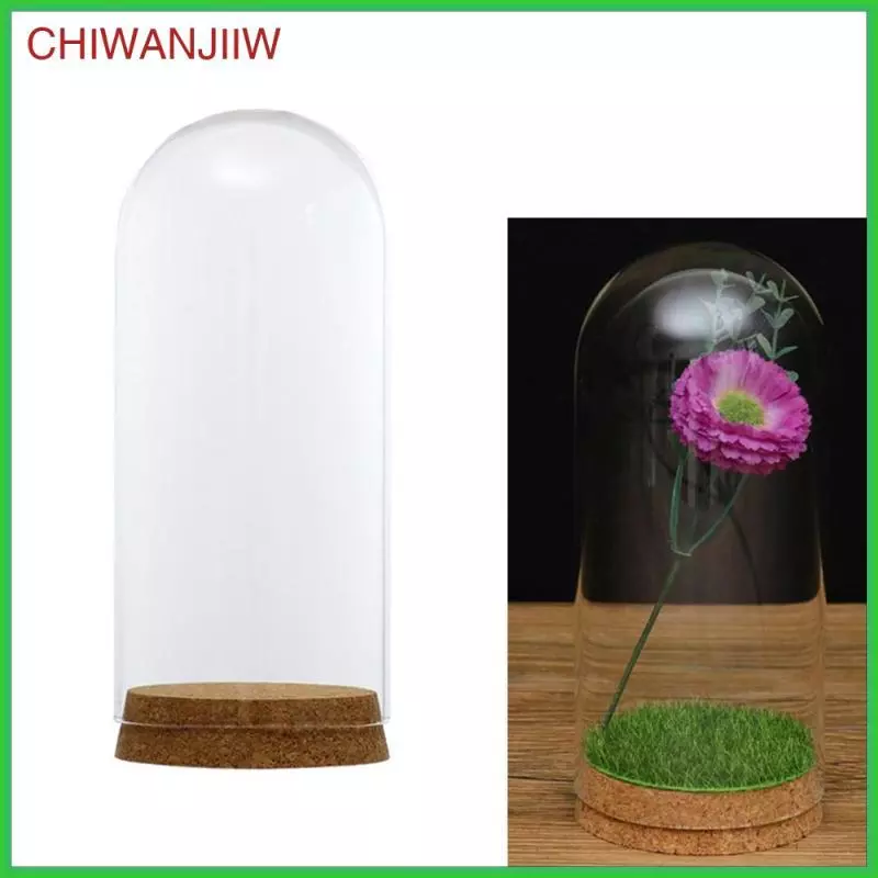 [chiwanjiiw] ฝาครอบแก้วโปร่งใส Succulent Flower Terrarium สําหรับเครื่องประดับ ภาพที่ 4