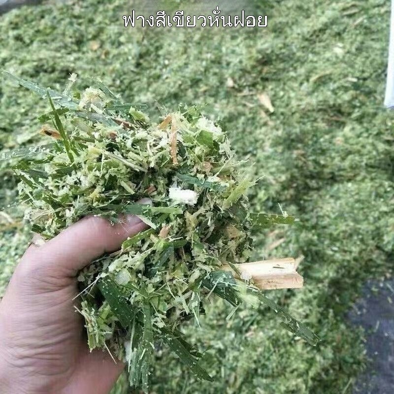 เครื่องสับหญ้า-สับฟางอเนกประสงค์ สับหญ้าแห้ง-หญ้าสด บดซังข้าวโพด สำหรับเลี้ยงวัว-แพะ ฟางข้าว ภาพที่ 4