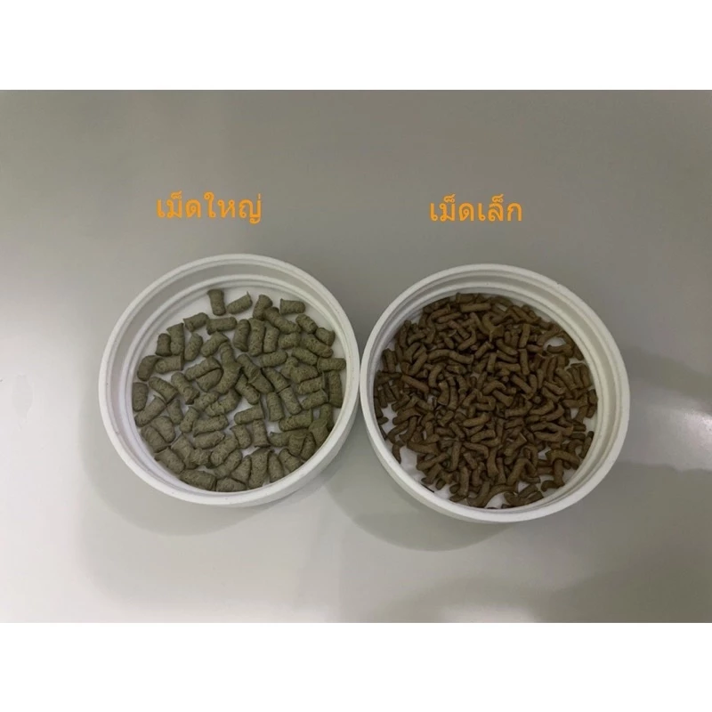 ส่งไว อาหารเต่า Tokyu อาหารเต่าญี่ปุ่น 80 g. Turtle Sticks Tortoise Food เต่าน้ำ เต่าบก เต่าญี่ปุ่น เต่าซูคาต้า เต่า ภาพที่ 5