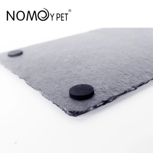 NomoyPet จานหิน ลดการเกิดจงอยปาก และเล็บยาวผิดรูป ถาดอาหารเต่าบก แบบสี่เหลี่ยมพร้อมส่งอยู่ไทย ภาพที่ 4