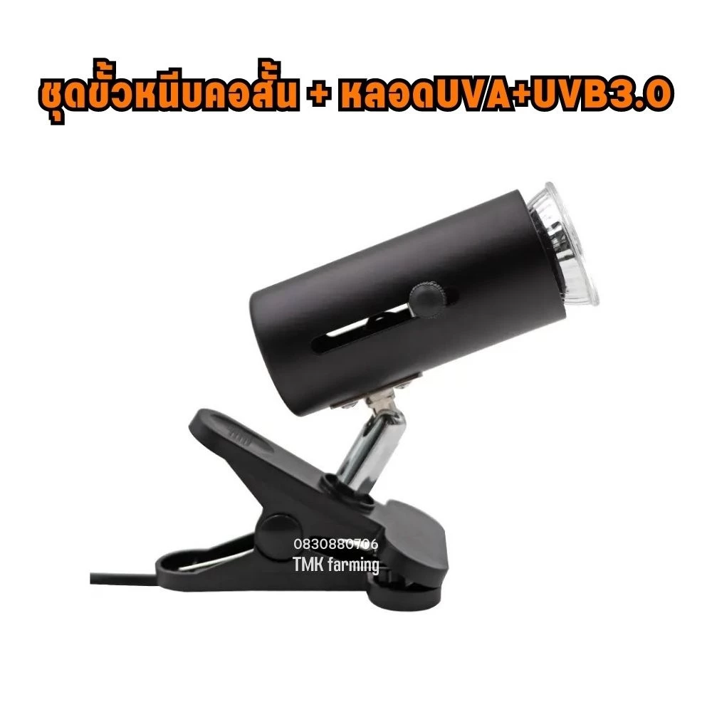 ชุดโคมไฟขาหนีบหลอดไฟ Minisun UVA+UVB 3.0 50W/75W/100W​ ขั้วหลอดไฟเซรามิค โคมไฟทนความร้อน สำหรับ ​ลูกนก เต่าน้ำเต่าบก PL ภาพที่ 2
