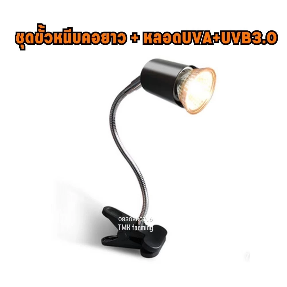 ชุดโคมไฟขาหนีบหลอดไฟ Minisun UVA+UVB 3.0 50W/75W/100W​ ขั้วหลอดไฟเซรามิค โคมไฟทนความร้อน สำหรับ ​ลูกนก เต่าน้ำเต่าบก PL ภาพที่ 3